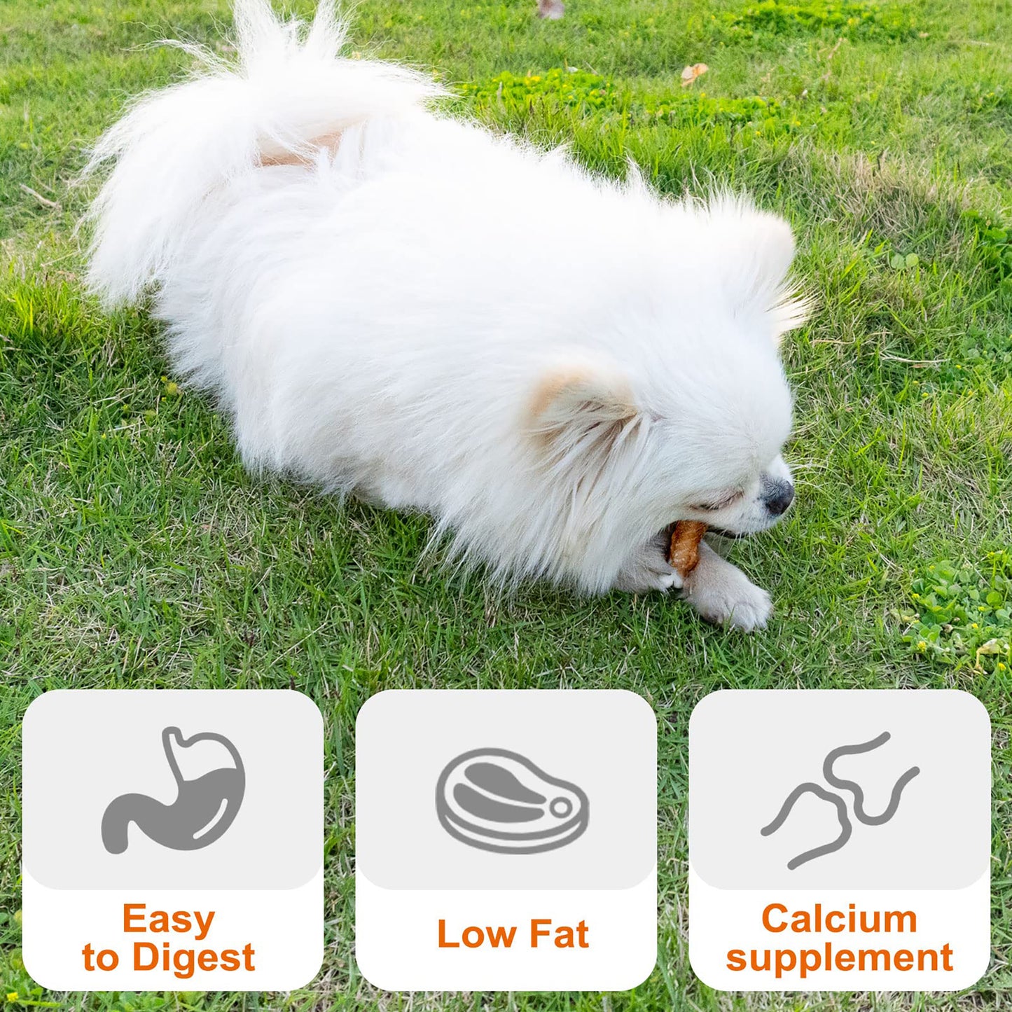 Puppy Small Dogs & Chicken Wrapped Calcium Bones - MON2SUN
