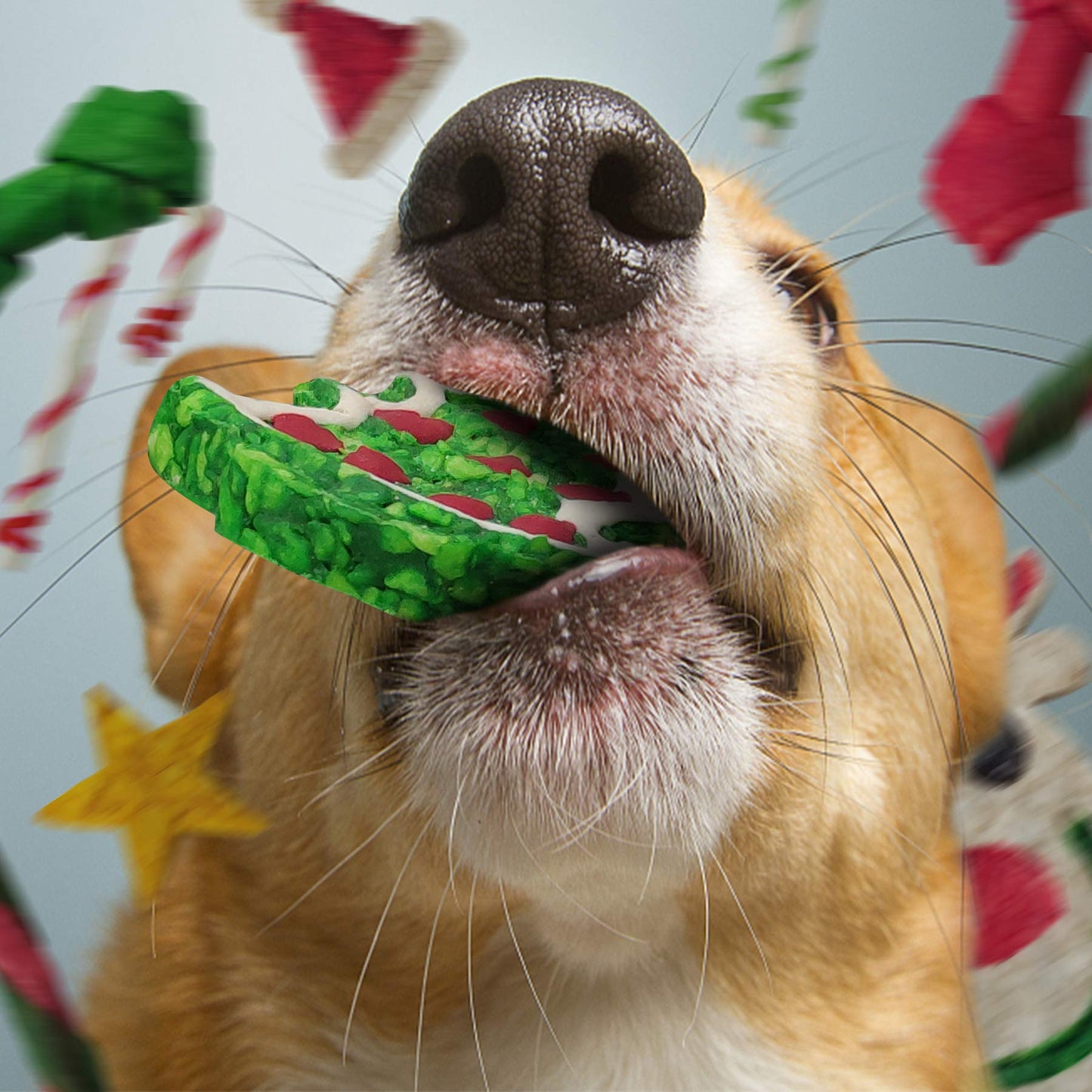 MON2SUN 11Count Christmas Dog Rawhide Stocking for Small Dogs Holiday - MON2SUN