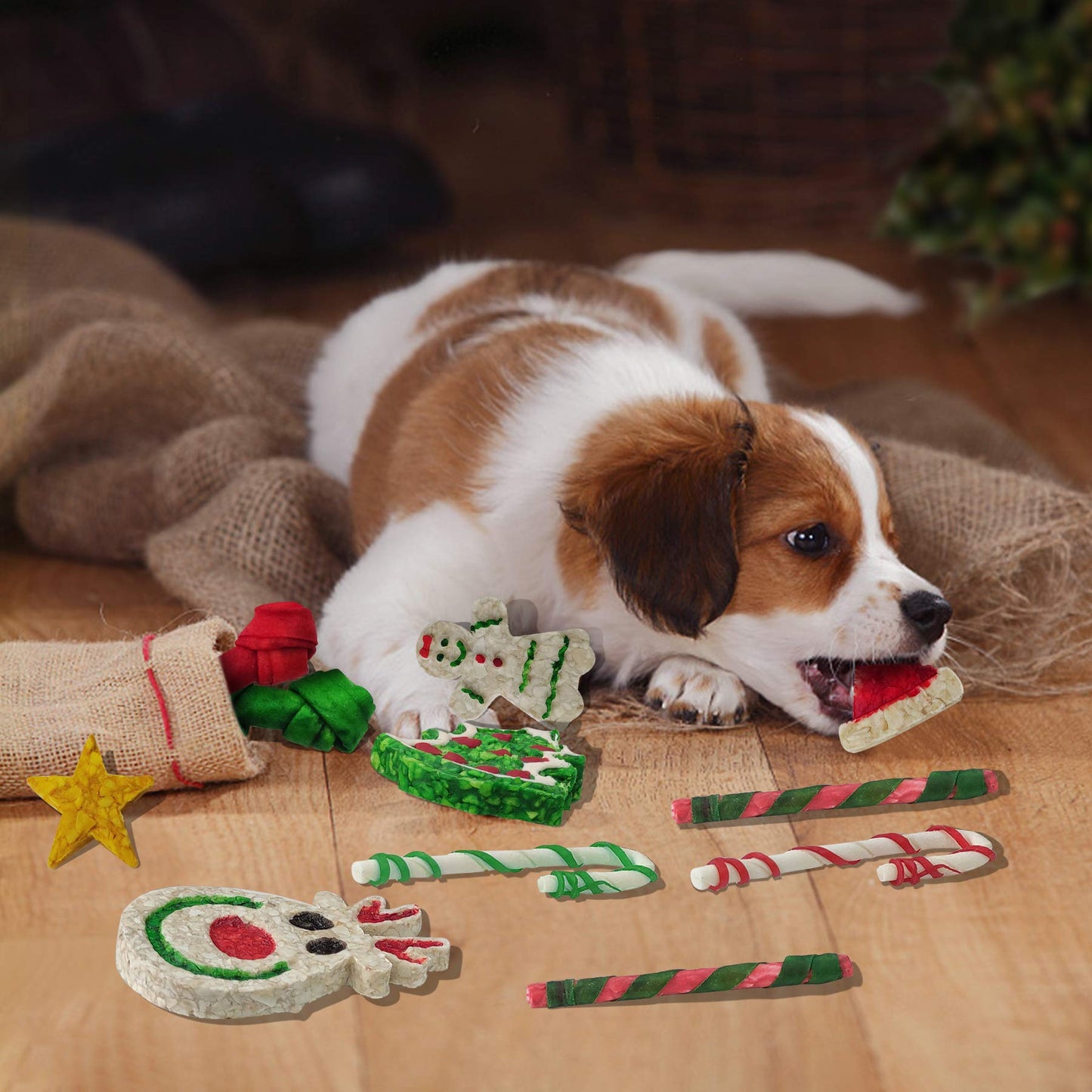 MON2SUN 11Count Christmas Dog Rawhide Stocking for Small Dogs Holiday - MON2SUN