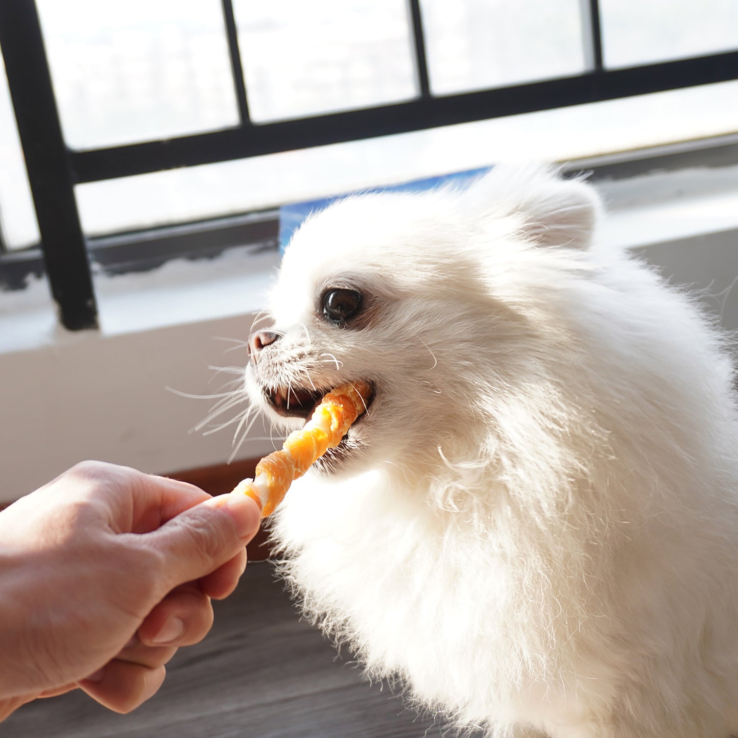 Puppy Small Dogs & Rawhide Twist Chicken Hide Sticks