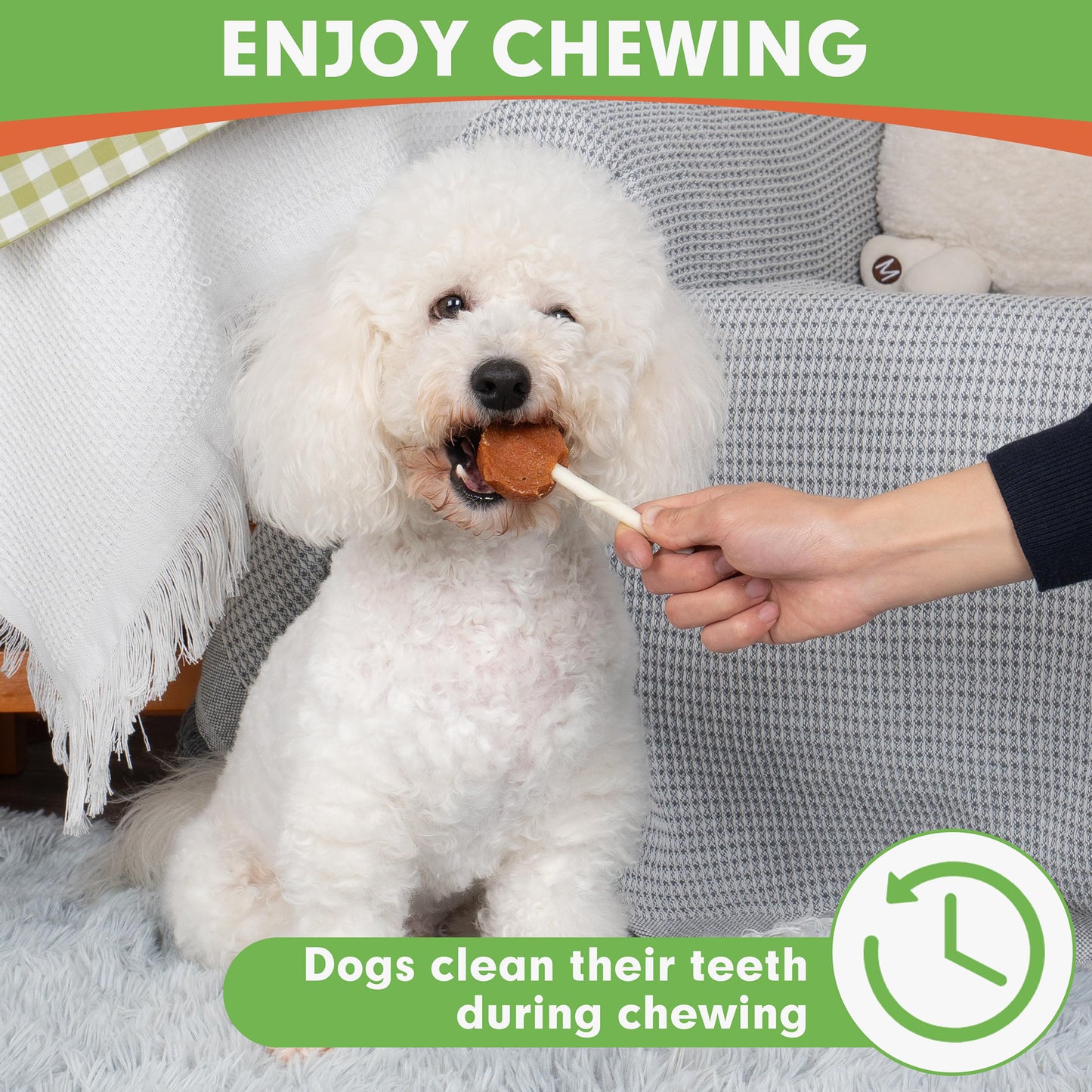 Small Dogs & Chicken and Egg with Rawhide - MON2SUN