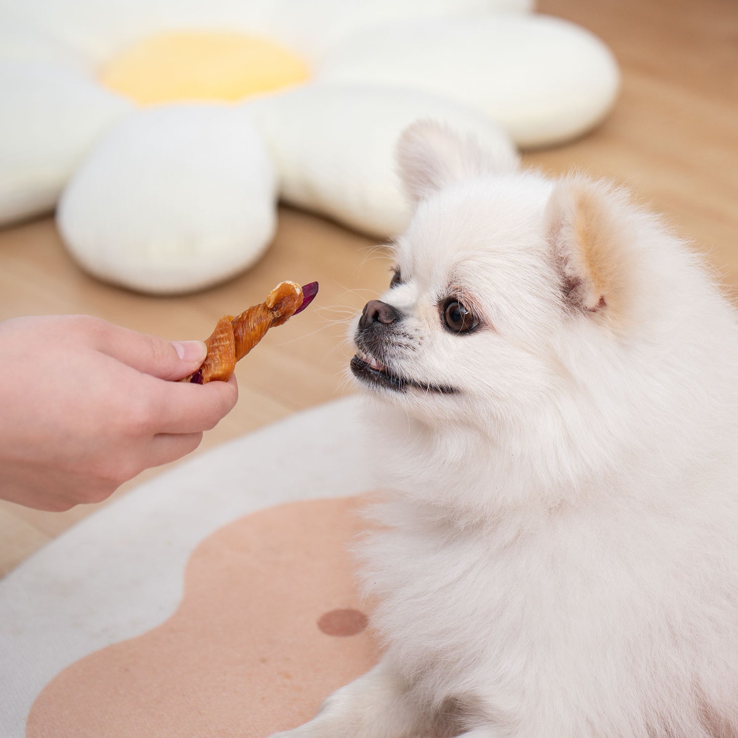 Small Dogs & Chicken Wrapped Purple Sweet Potato