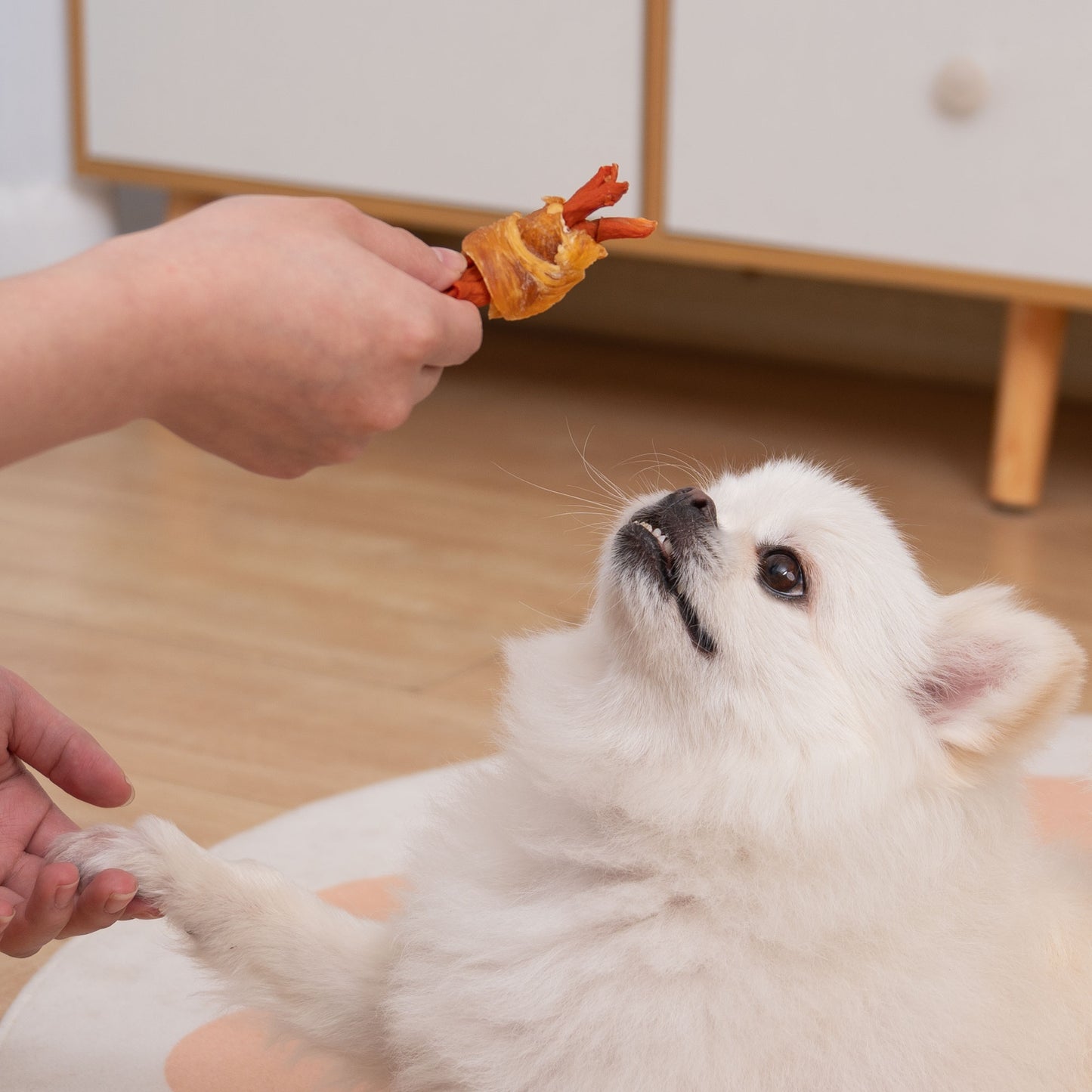 Small Dogs & Chicken Wrapped Carrot Rawhide Free - MON2SUN