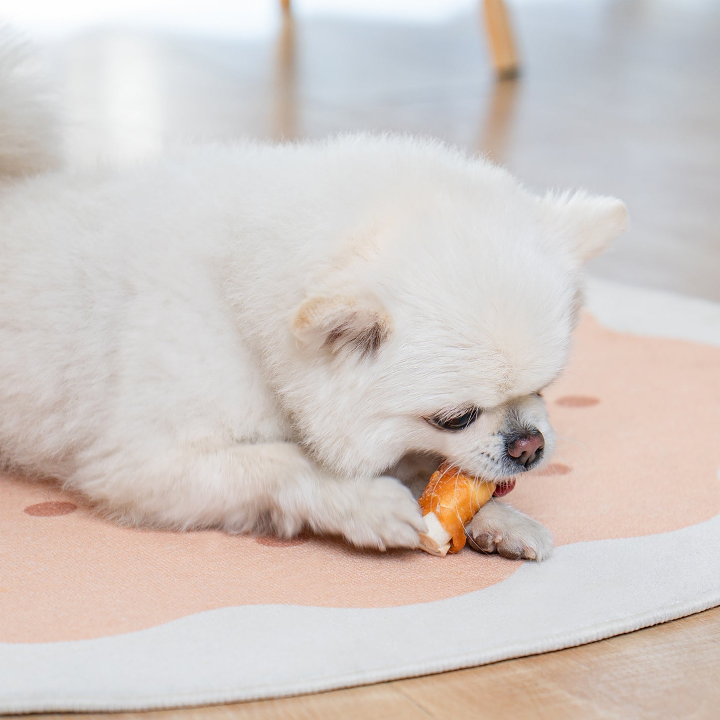 Small Dogs & Chicken Wrapped Rawhide Rolls