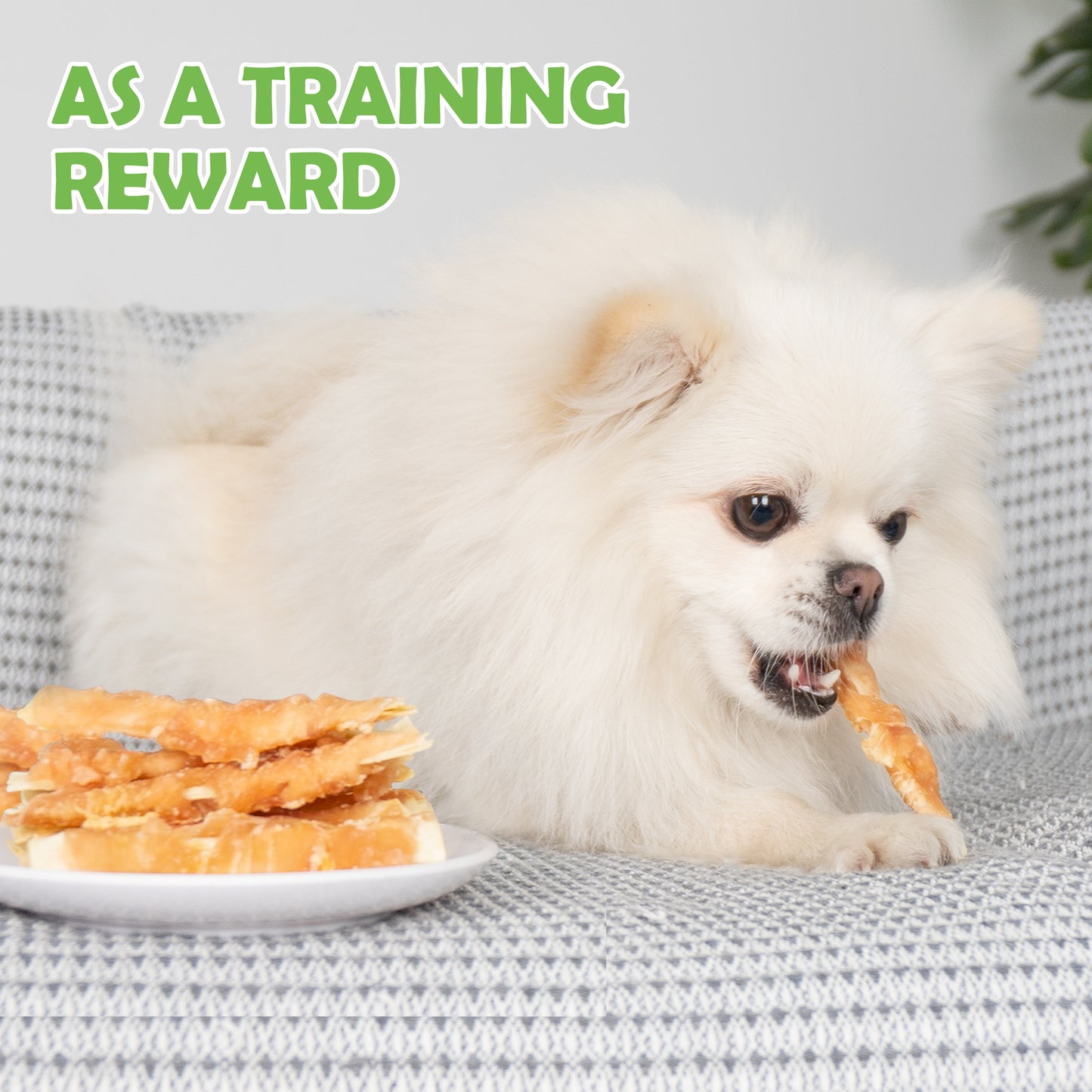 MON2SUN Chicken Wrapped Cod Fillet Rawhide Free Small Dog Treats, 13 oz (36 Count) - MON2SUN