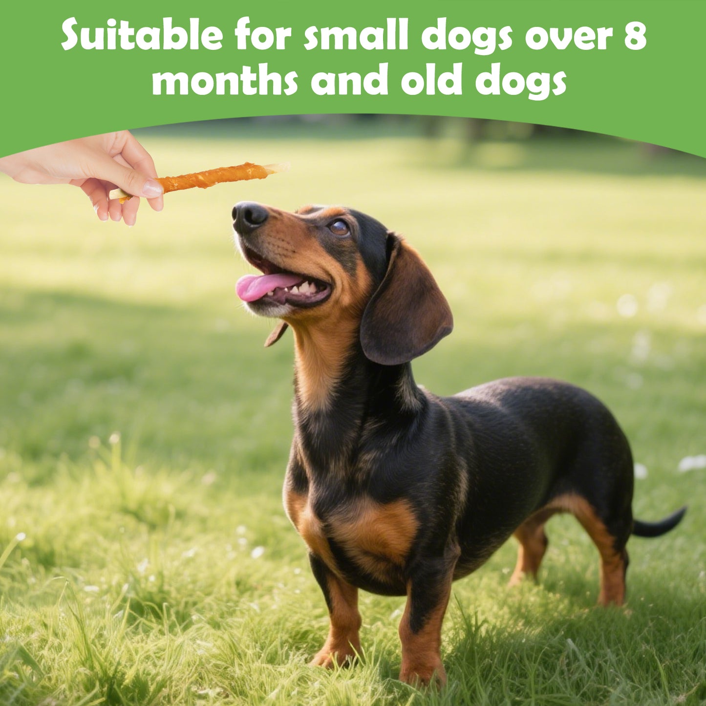 MON2SUN Chicken Wrapped Cod Sticks Rawhide Free Small Dog Treats, 13 oz (36 Count) - MON2SUN