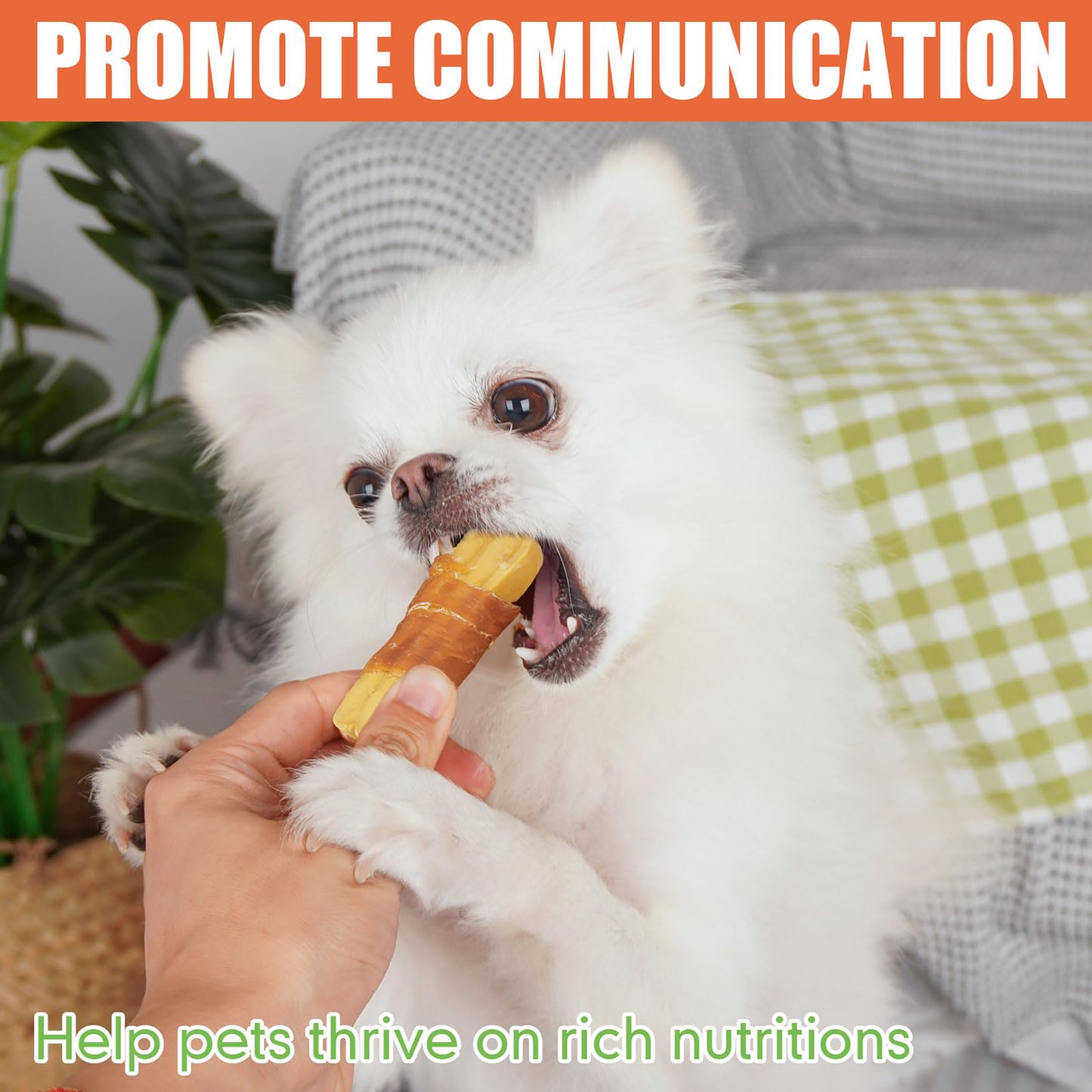 Puppy Small Dogs & Chicken Wrapped Bones