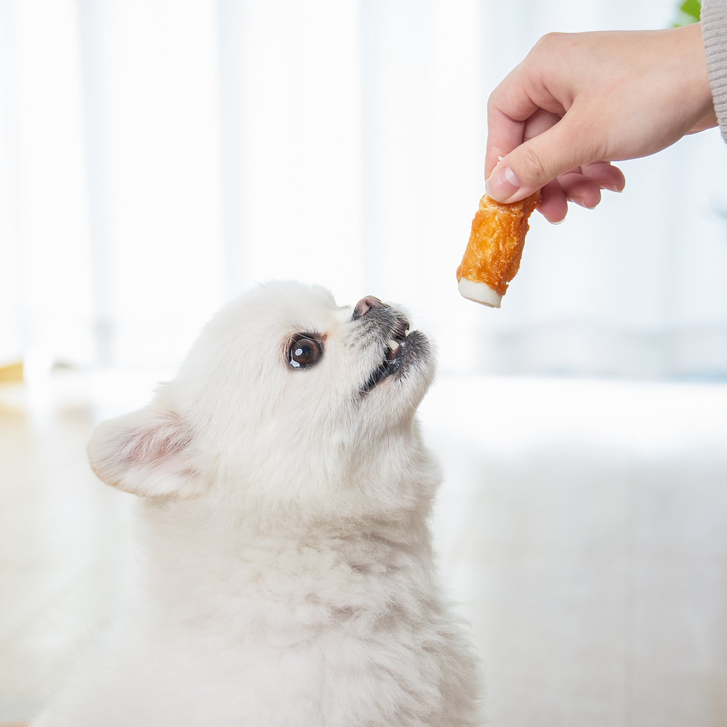 Small Dogs & Chicken Wrapped Rawhide Rolls