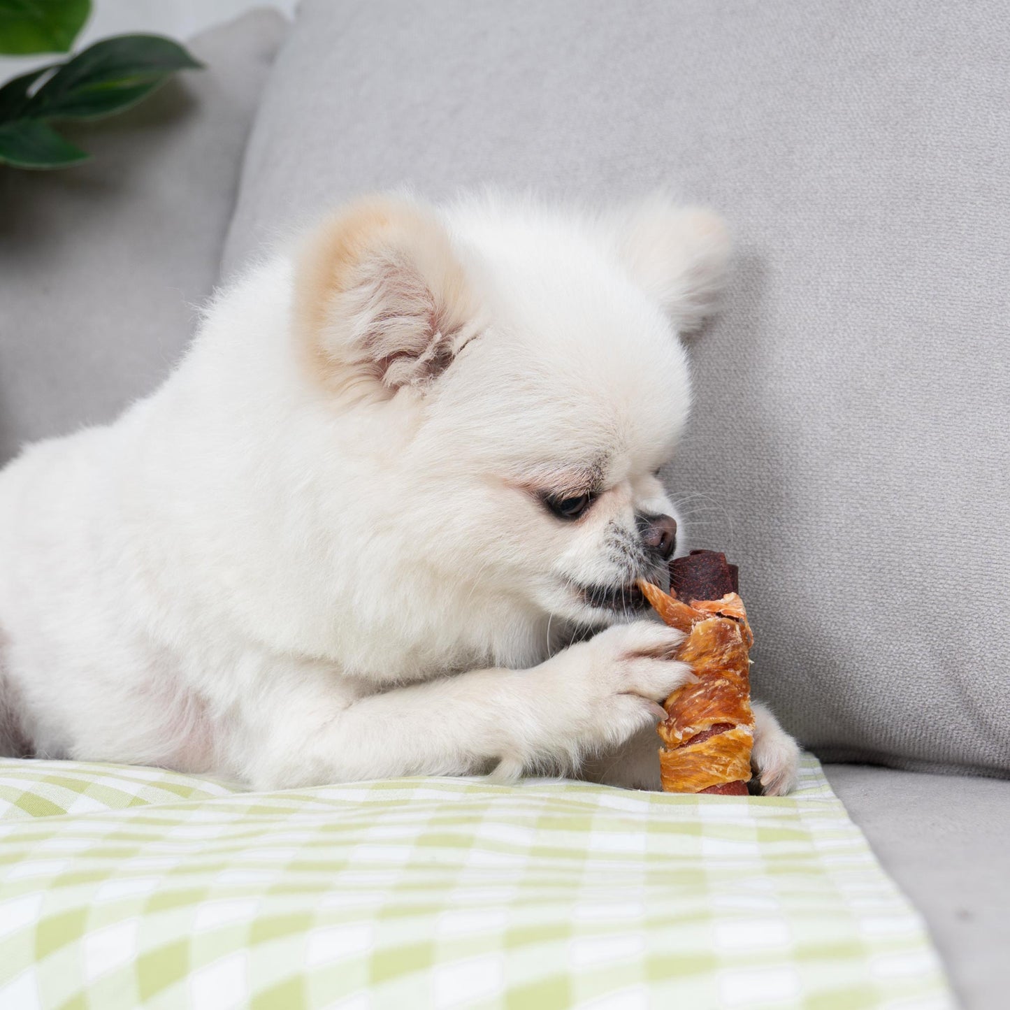Small Dogs & Chicken Wrapped Duck and Beef Rolls - MON2SUN
