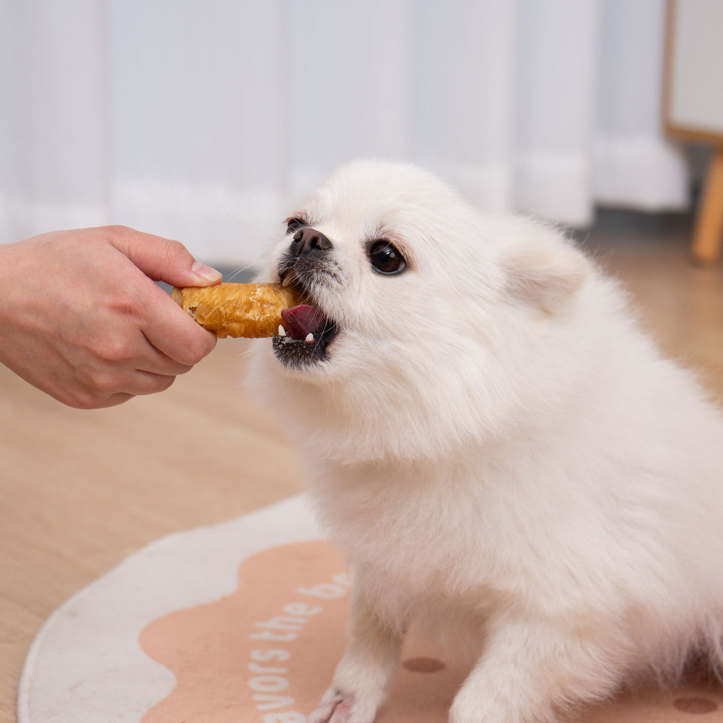Small Dogs & Chicken Wrapped Rolls Rawhide Free - MON2SUN