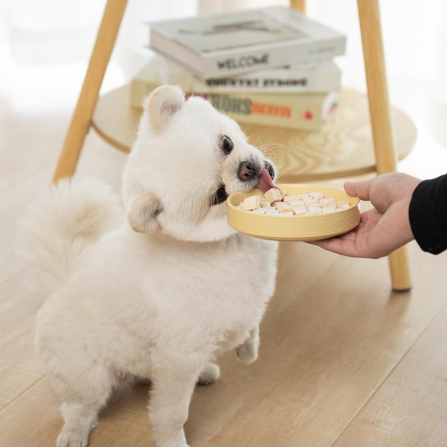 Dog and Cat & Freeze Dried Chicken - MON2SUN