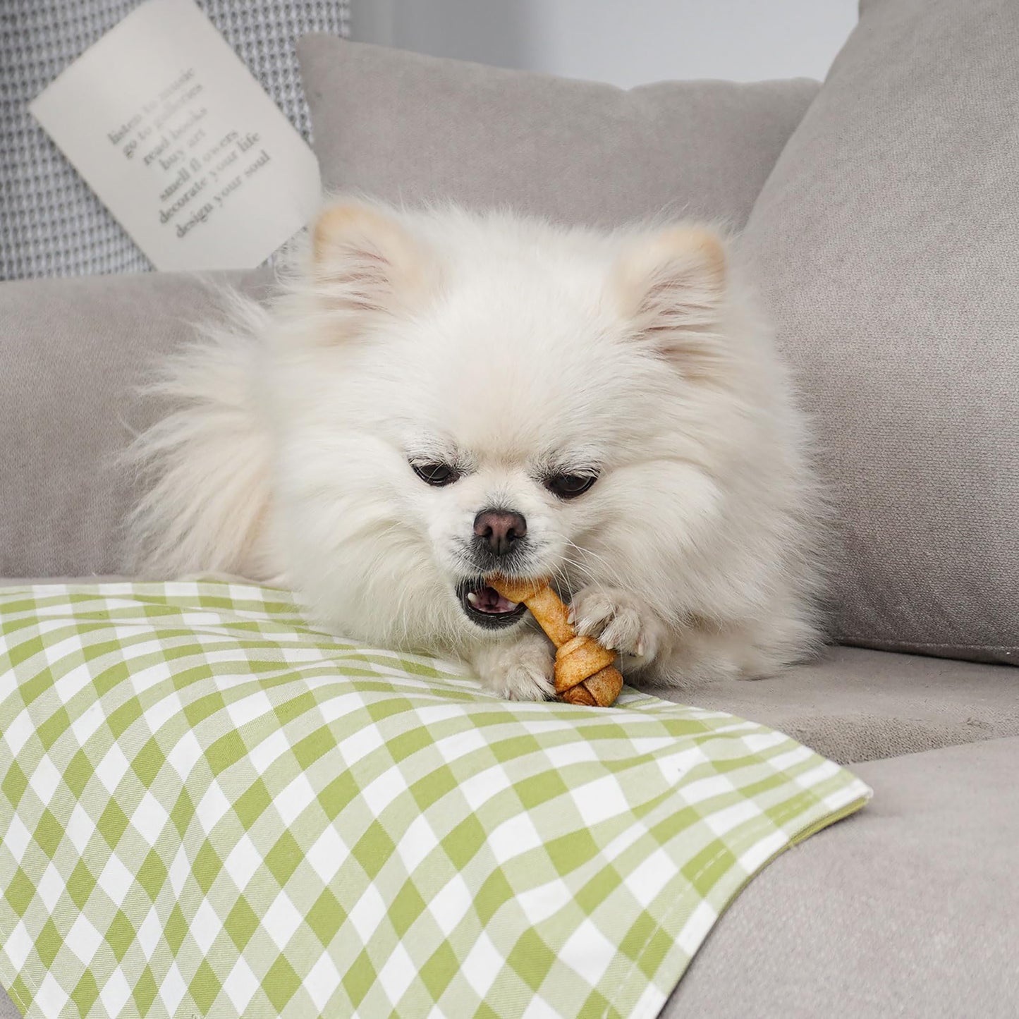 Puppy Small Dogs & Rawhide Knot Bones Chicken Flavor - MON2SUN