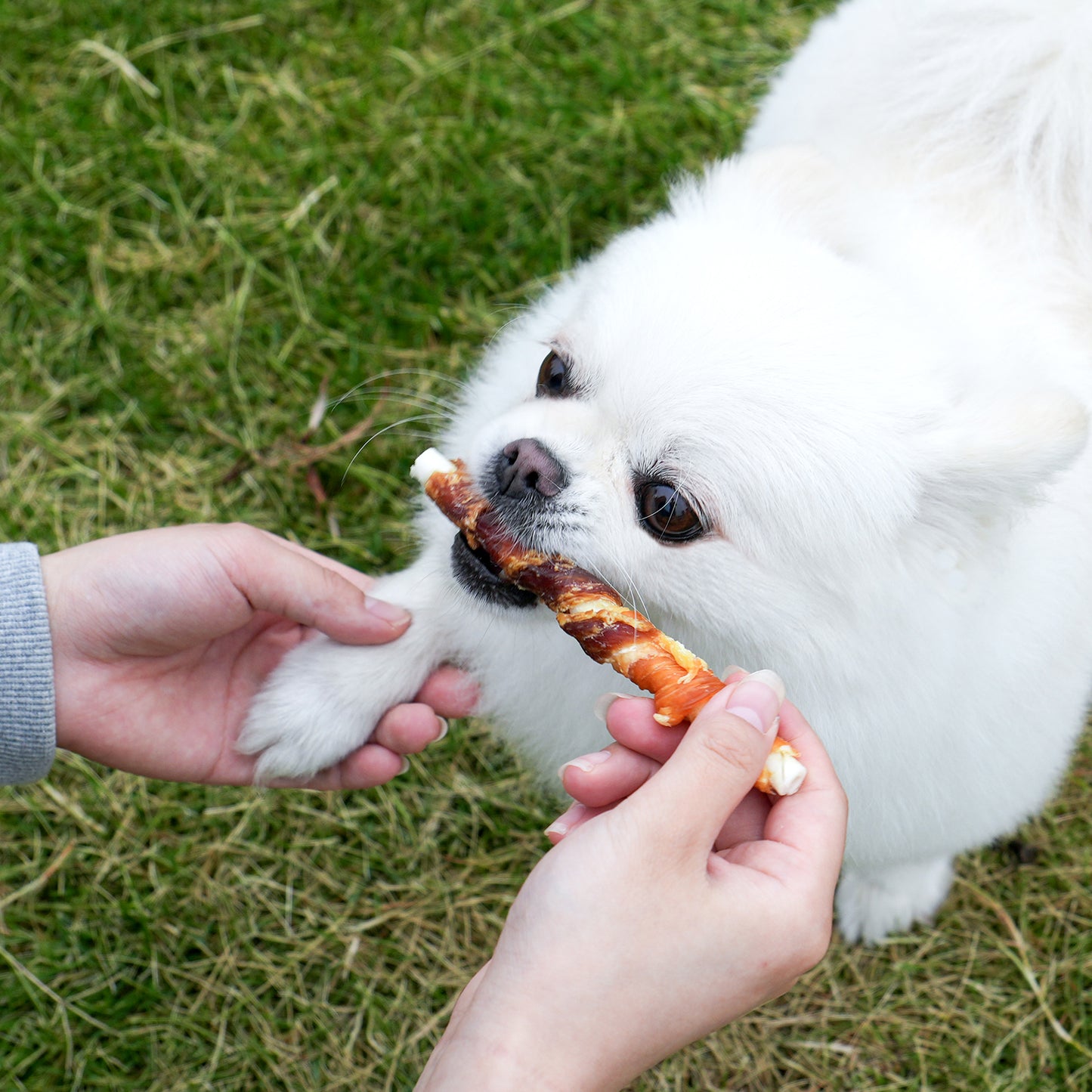 MON2SUN Dog Treats 5 Inch Double Flavor Chicken & Duck Wrapped Rawhide Sticks, Teeth Cleaning for Small Dogs - MON2SUN