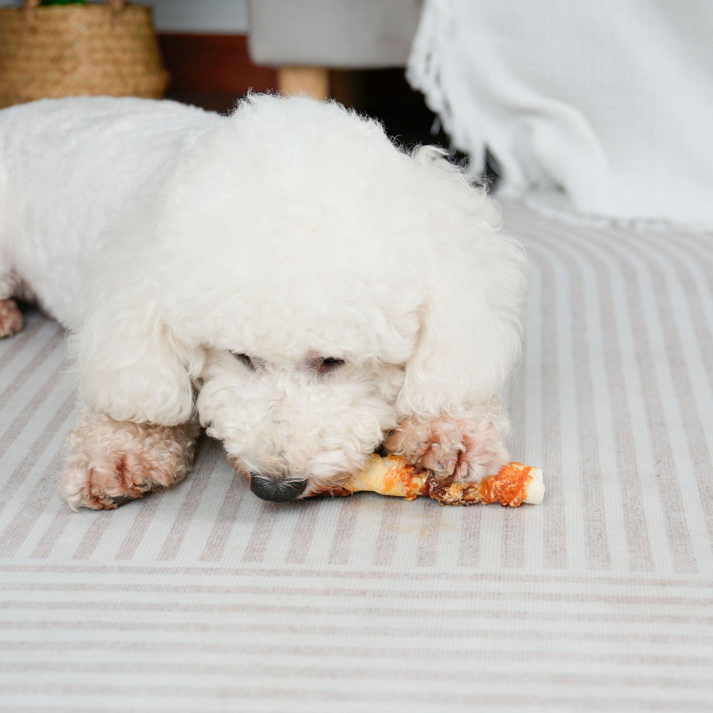 Medium Dogs & Chicken Liver Duck and Chicken Wrapped Rawhide Sticks - MON2SUN