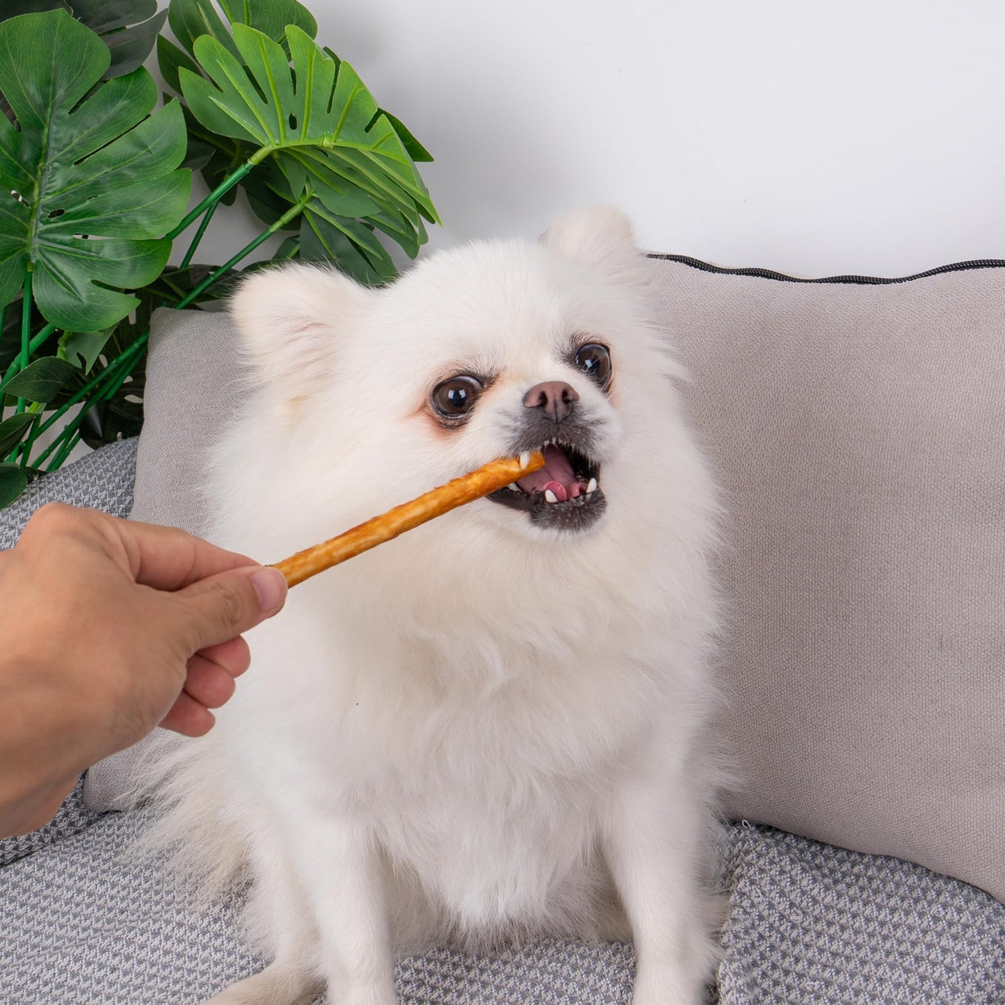 Small Dogs & Chicken Collagen Sticks