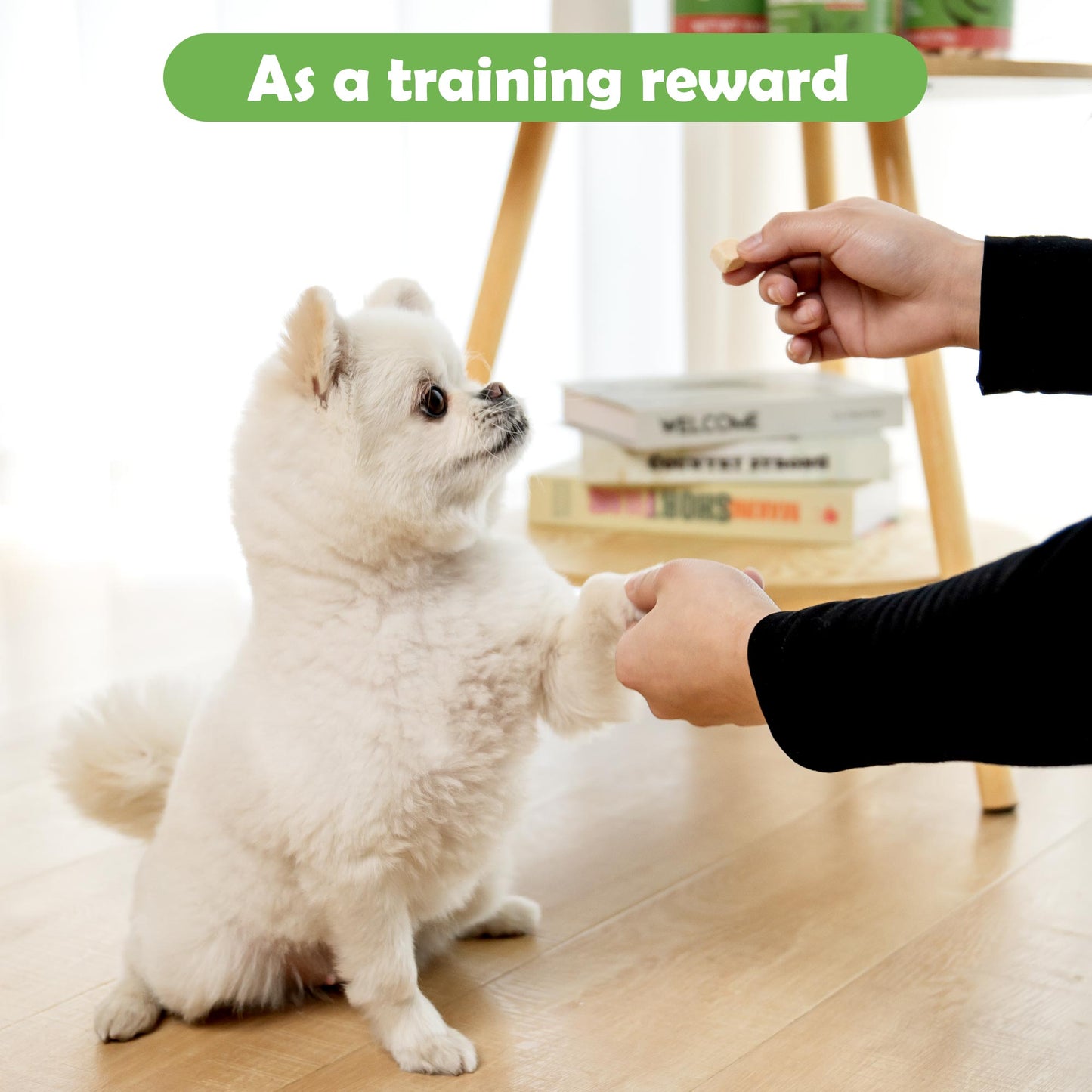 Dog and Cat & Freeze Dried Chicken - MON2SUN