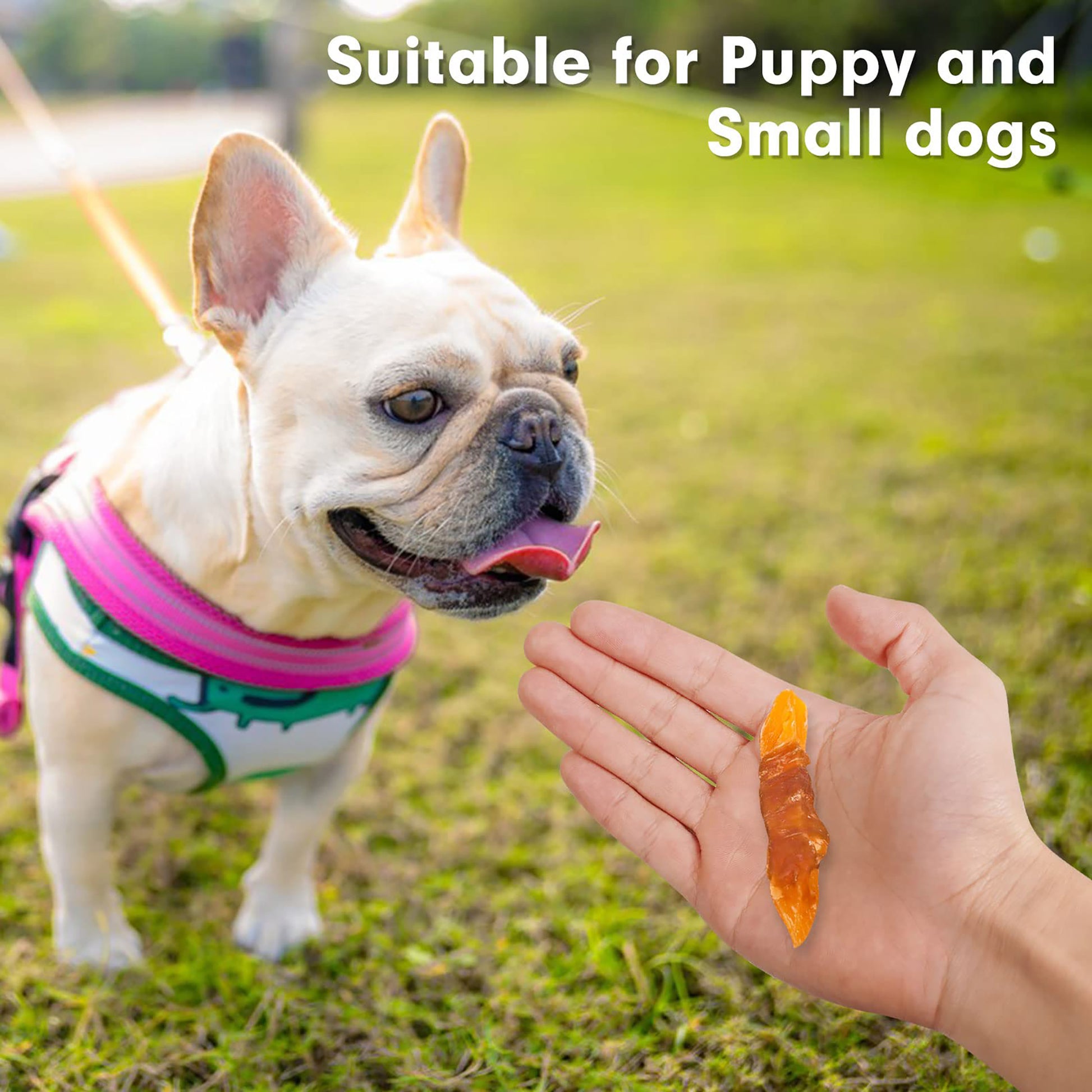 Puppy Small Dogs & Chicken Wrapped Sweet Potato - MON2SUN
