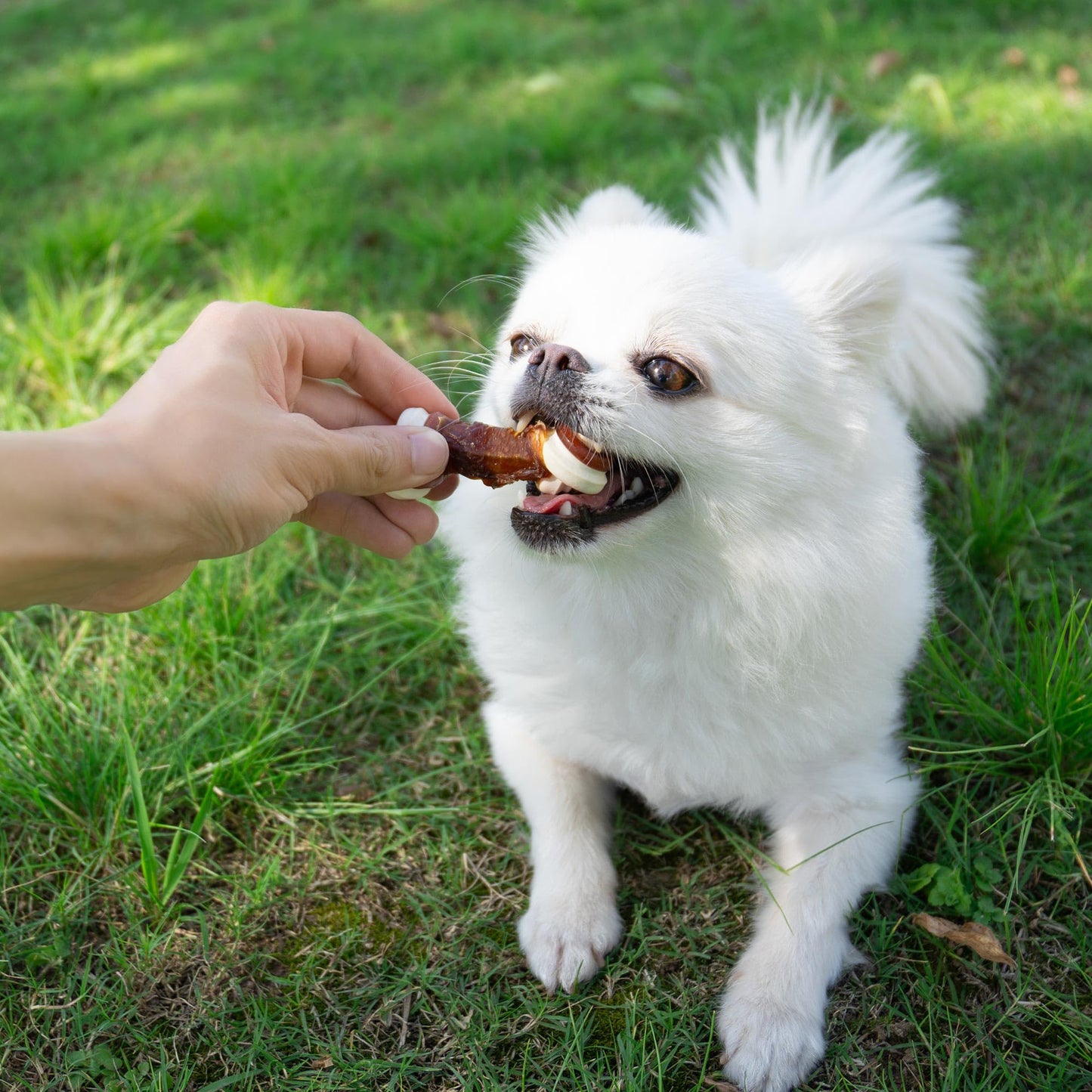 Small Dogs & Duck Wrapped Mixed Vegetables Knot Bone Rawhide Free