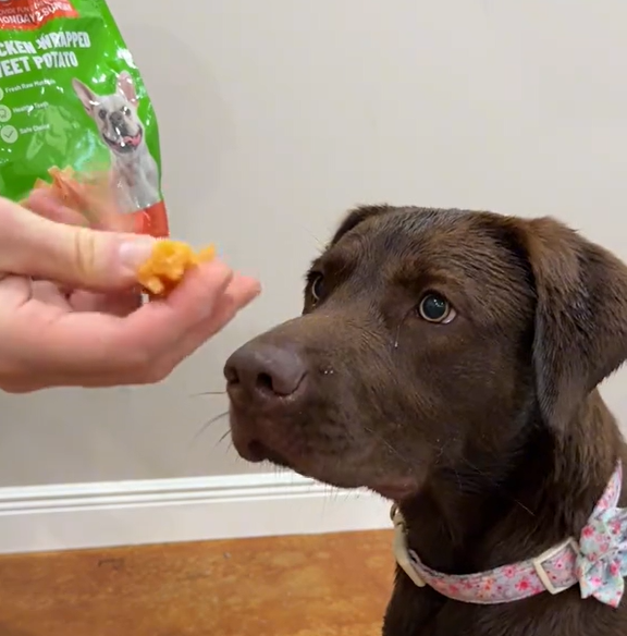Turn treat time into happy hour.