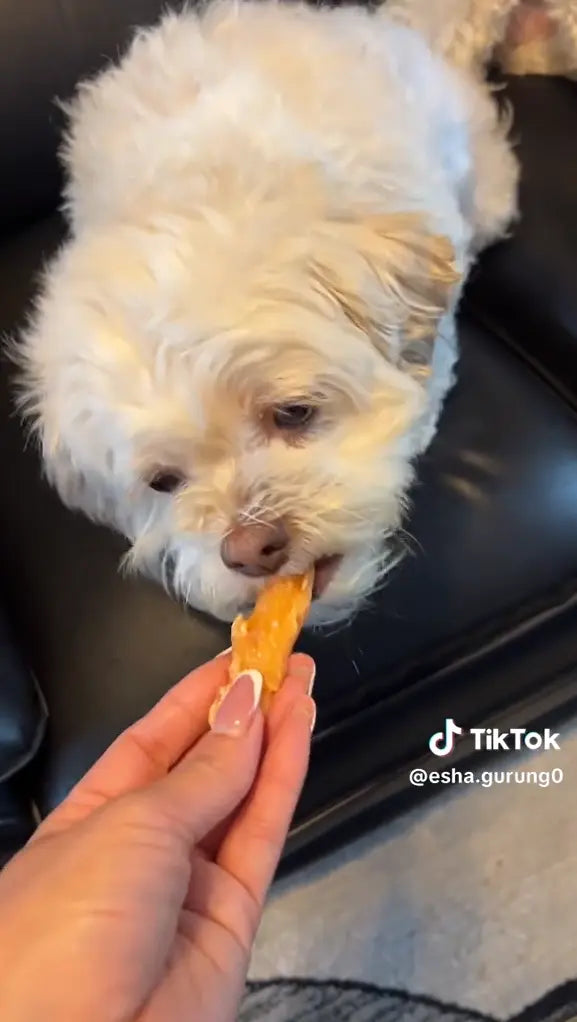 Tiktok video