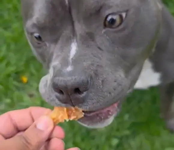 Yummy!