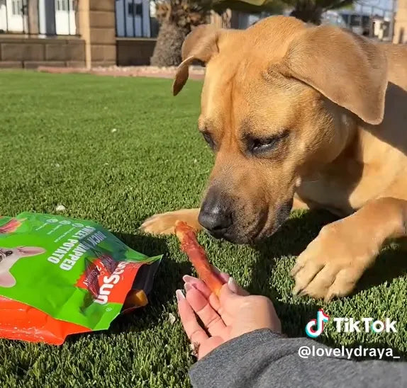 Spoil your pup—grab these chicken-sweet-potato swirls and watch the zoomies explode!