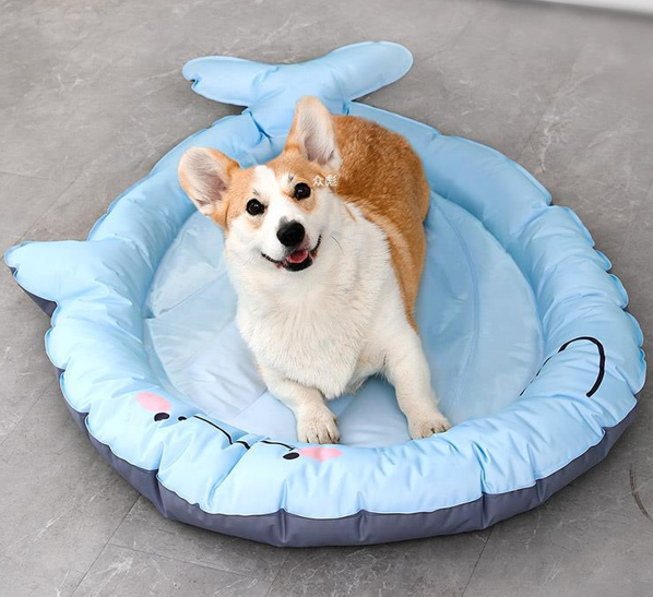 dog cushion