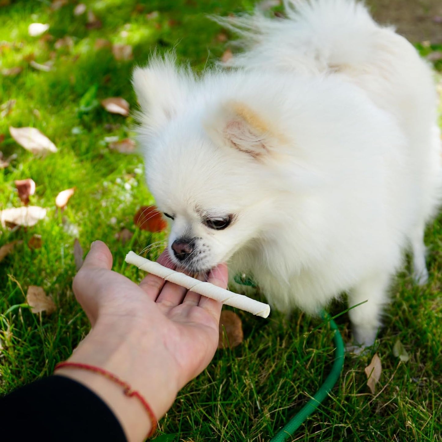 MON2SUN 5" Natural Rawhide Sticks 60 Pack