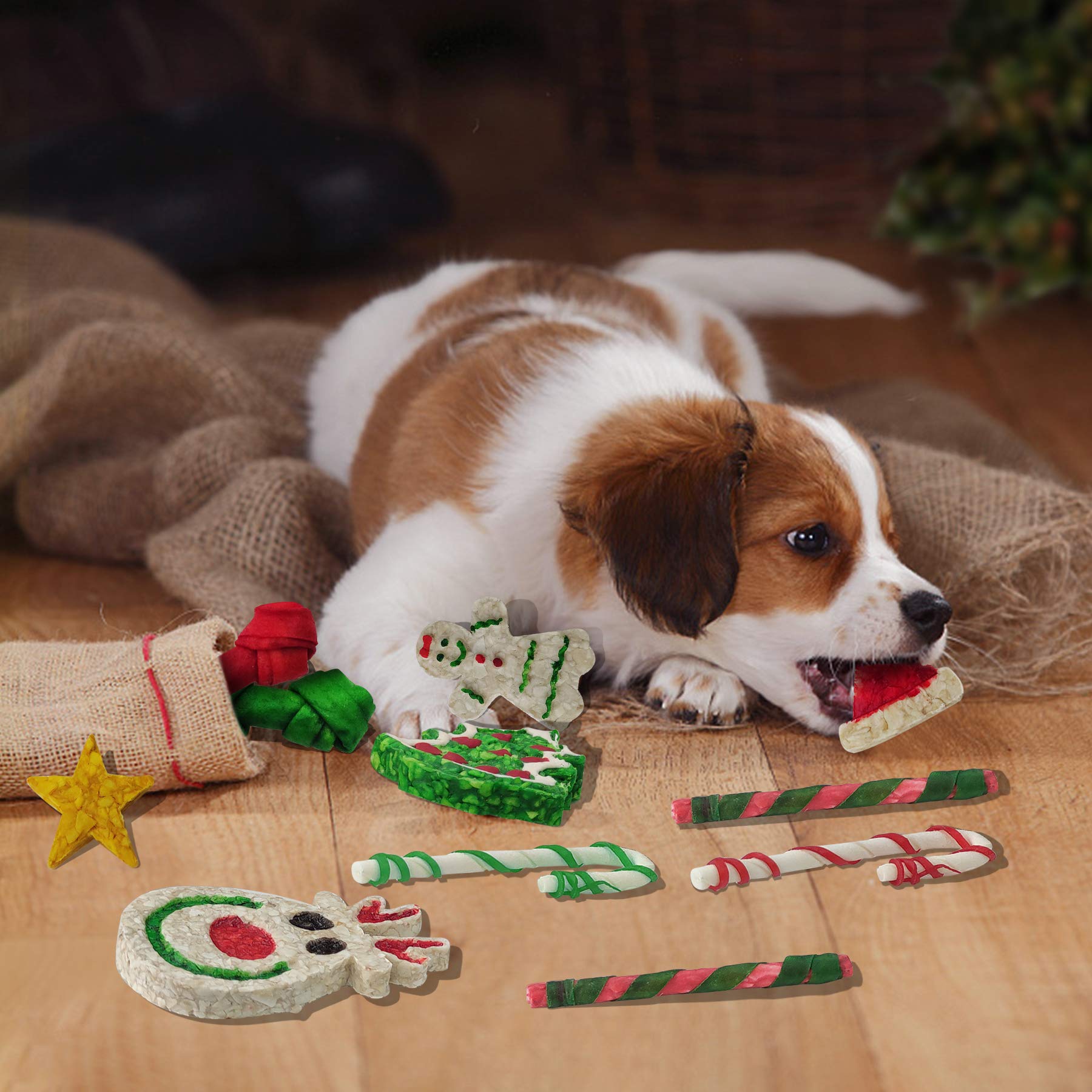 MON2SUN 11Count Christmas Dog Rawhide Stocking for Small Dogs Holiday - MON2SUN