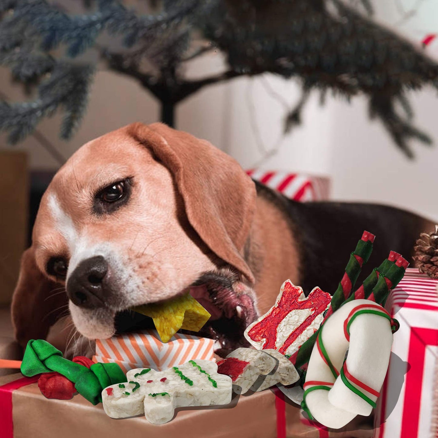 MON2SUN 12Count Christmas Dog Rawhide Treats Holiday Stocking for Small Dogs - MON2SUN