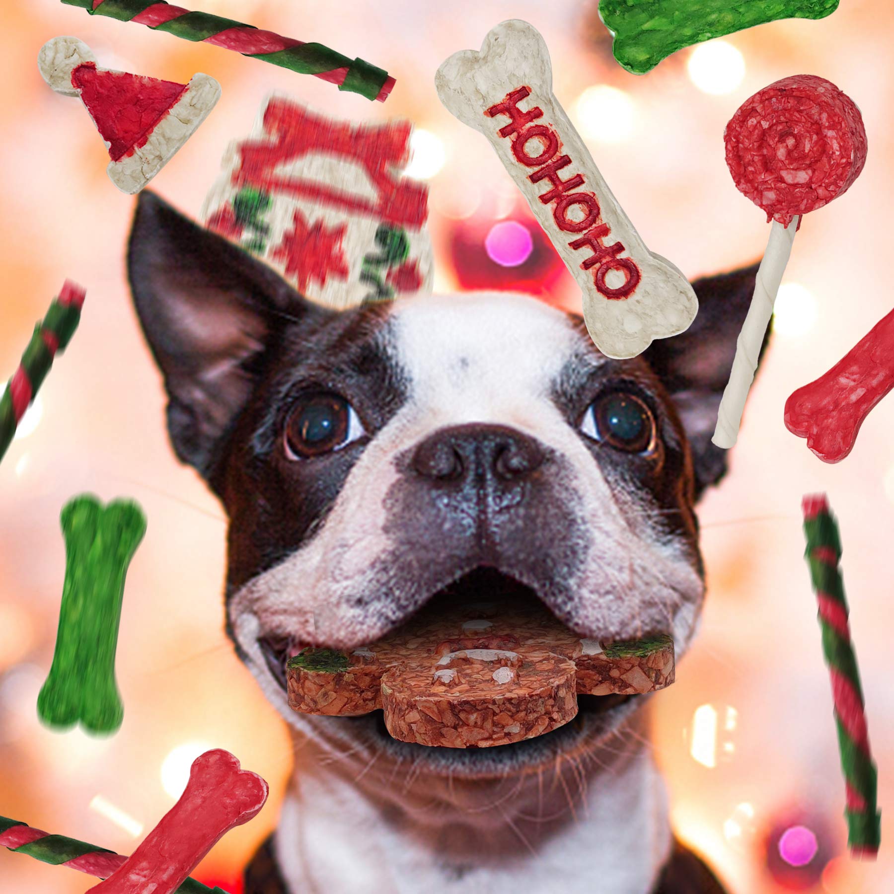 MON2SUN Christmas Dog Rawhide Treats Holiday 14Count Stocking for Small Dogs - MON2SUN