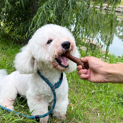 MON2SUN Rawhide Free Dog Treats, Peanut Butter Bones, Dog Chews for Small and Medium Dogs, Healthy Dog Bones for Balanced Nutrition (Length: 6'')