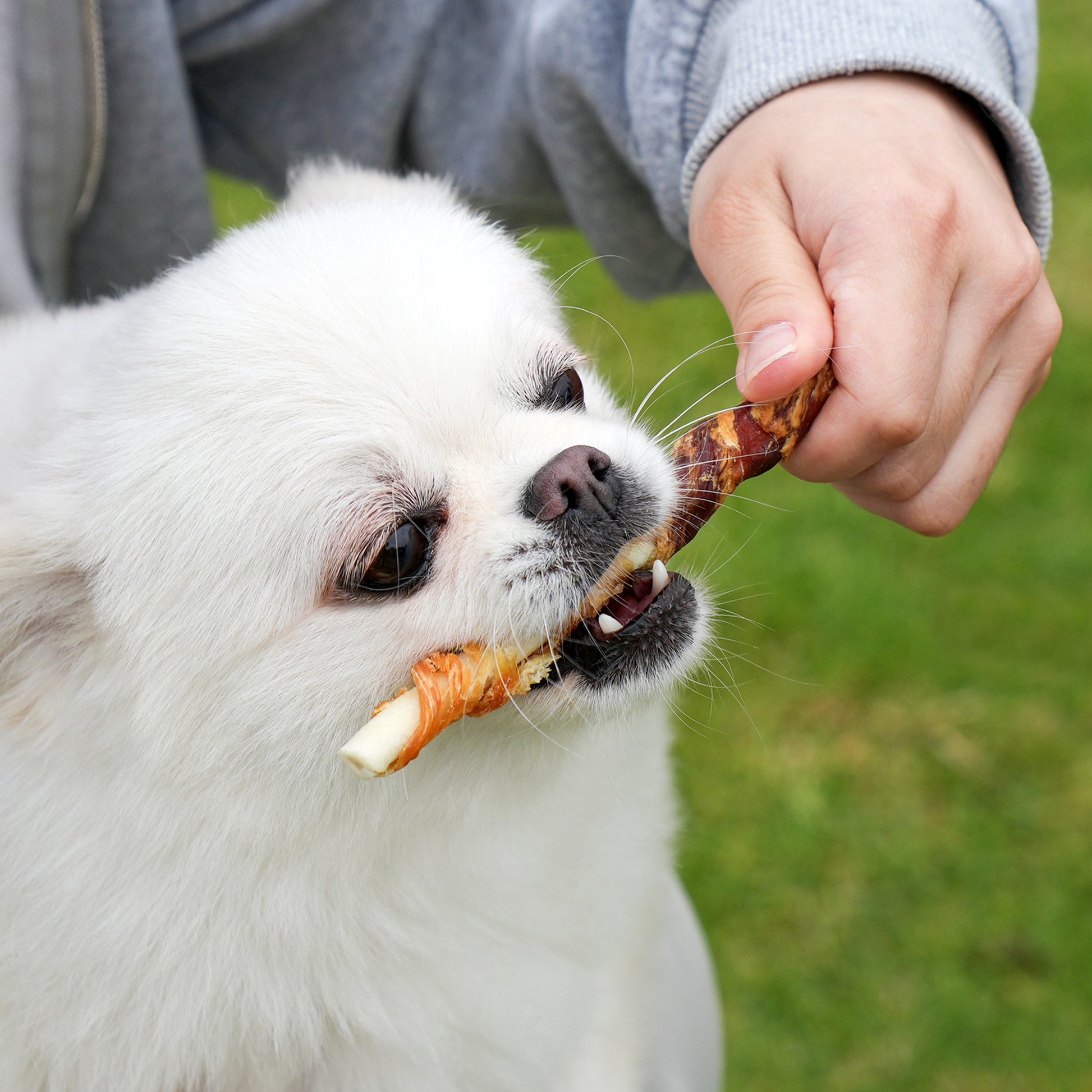 MON2SUN Dog Treats 5 Inch Double Flavor Chicken & Duck Wrapped Rawhide Sticks, Teeth Cleaning for Small Dogs - MON2SUN