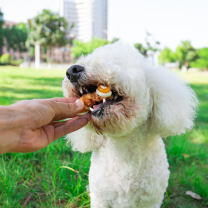 MON2SUN Rawhide Free Dog Treats with Mixed Vegetables, Chicken Wrapped Mini Knot Bones for Small Dogs, Healthy Dog Snakcs for Balanced Nutrition