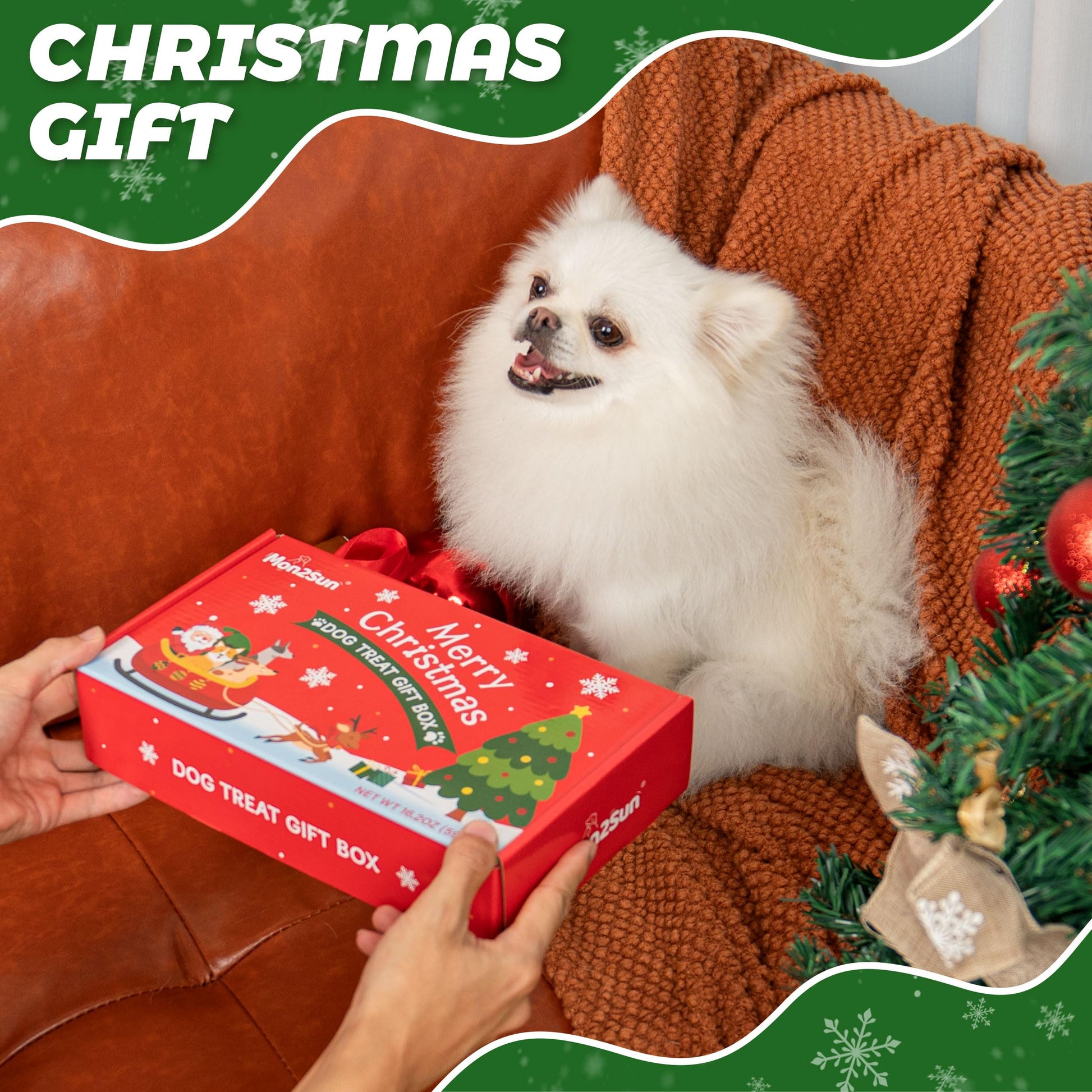 MON2SUN Christmas Dog Treats, Christmas Box Treats, Rawhide and Rawhide Free Chews for Small and Medium Dogs, 34 Count (Pack of 1) - MON2SUN