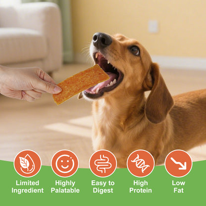 MON2SUN Chicken & Pumpkin Jerky Slice Small Dog Treats - MON2SUN