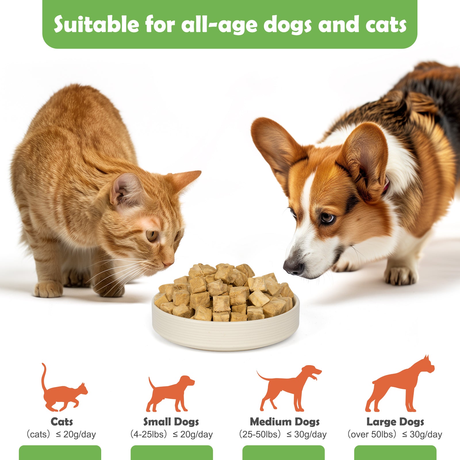 MON2SUN Freeze Dried Salmon Cat and Dog Treats, Single Ingredient Natural and Healthy Dog Snacks, High Protein Training Treats & Food Topper - MON2SUN