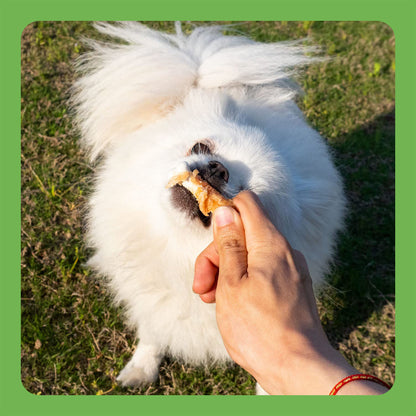 MON2SUN Chicken Wrapped Calcium Bones Small Dog Treats, 10.1 oz