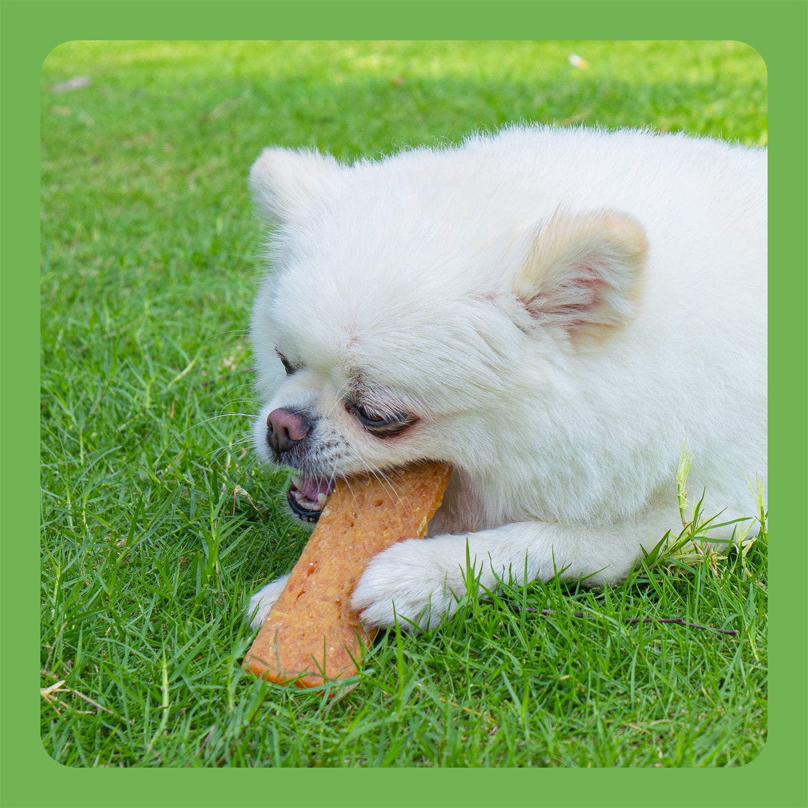 MON2SUN Chicken & Pumpkin Jerky Slice Small Dog Treats - MON2SUN