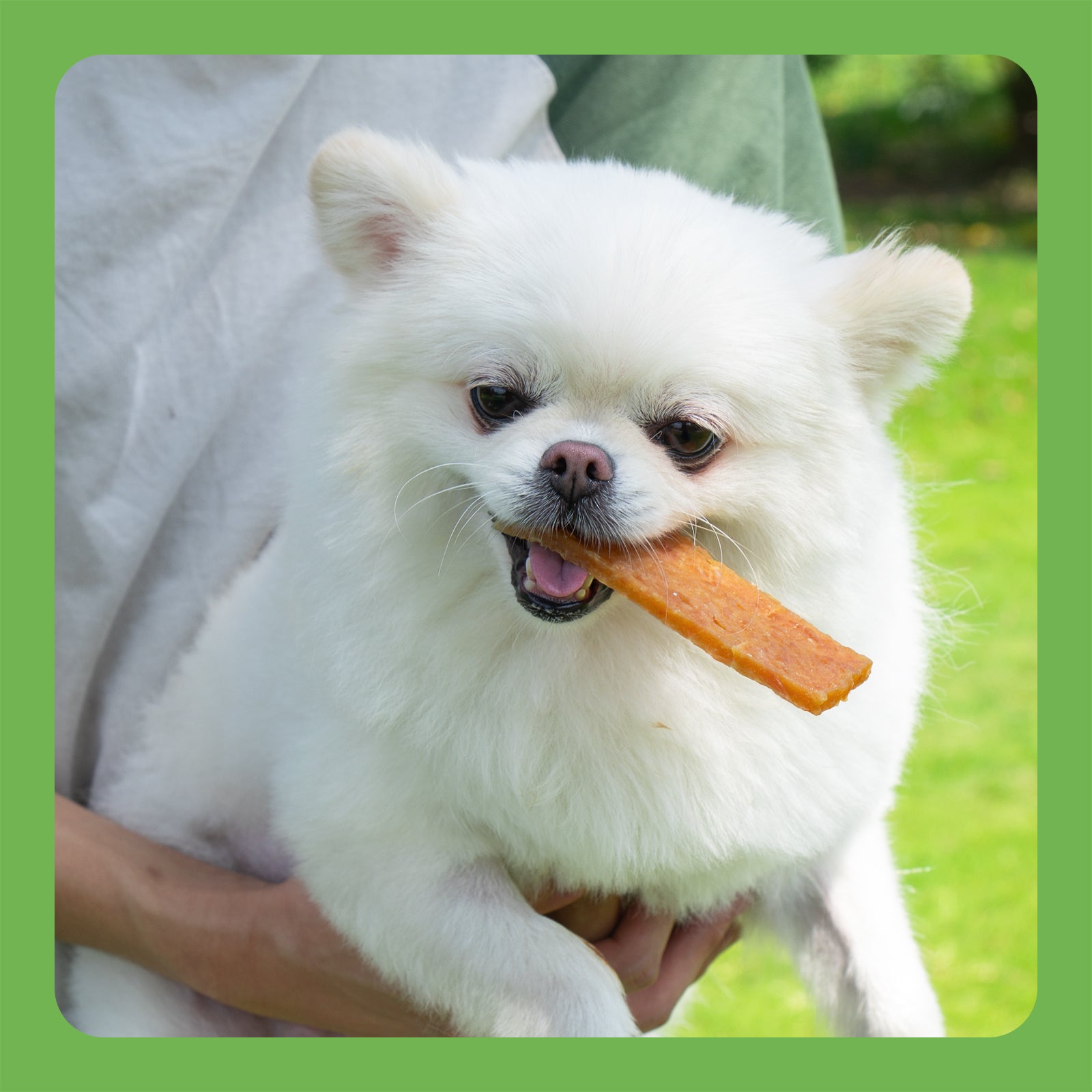 MON2SUN Chicken & Pumpkin Jerky Slice Small Dog Treats - MON2SUN