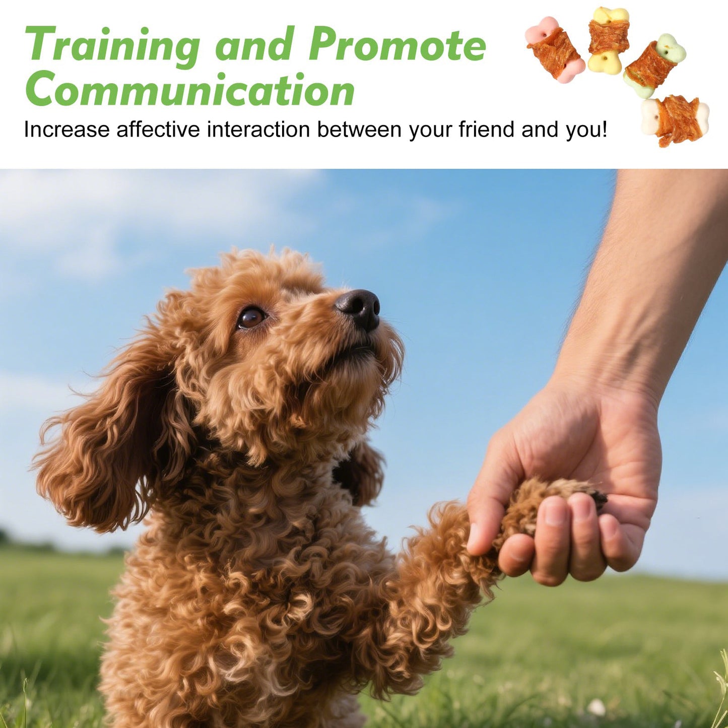 MON2SUN  Chicken Wrapped Biscuits Dog Treats,  10.1 oz