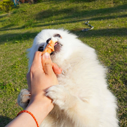 MON2SUN Chicken Wrapped Calcium Bones Small Dog Treats, 10.1 oz