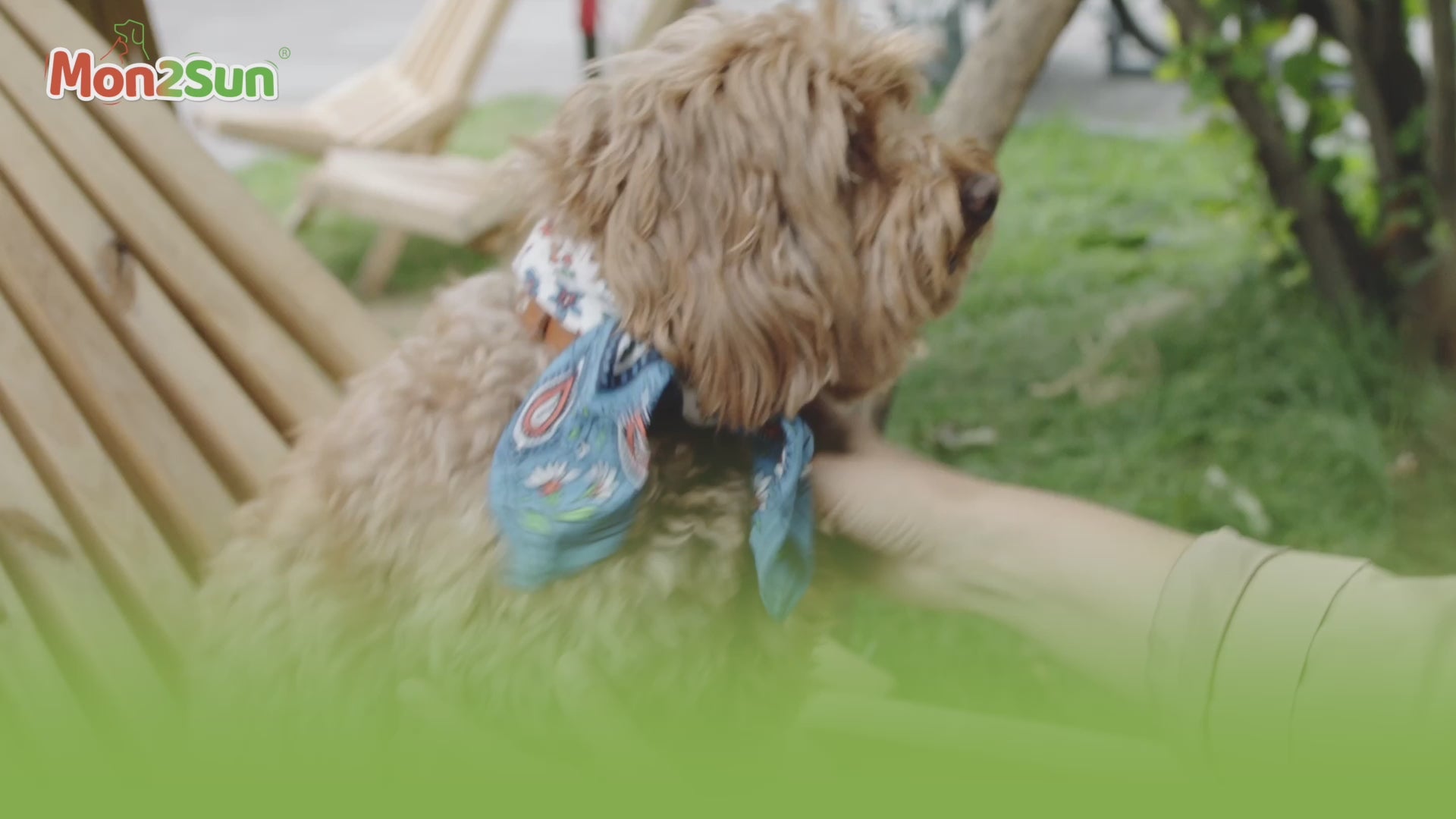 Load video: 